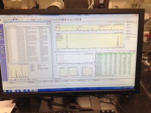 GCDisplay