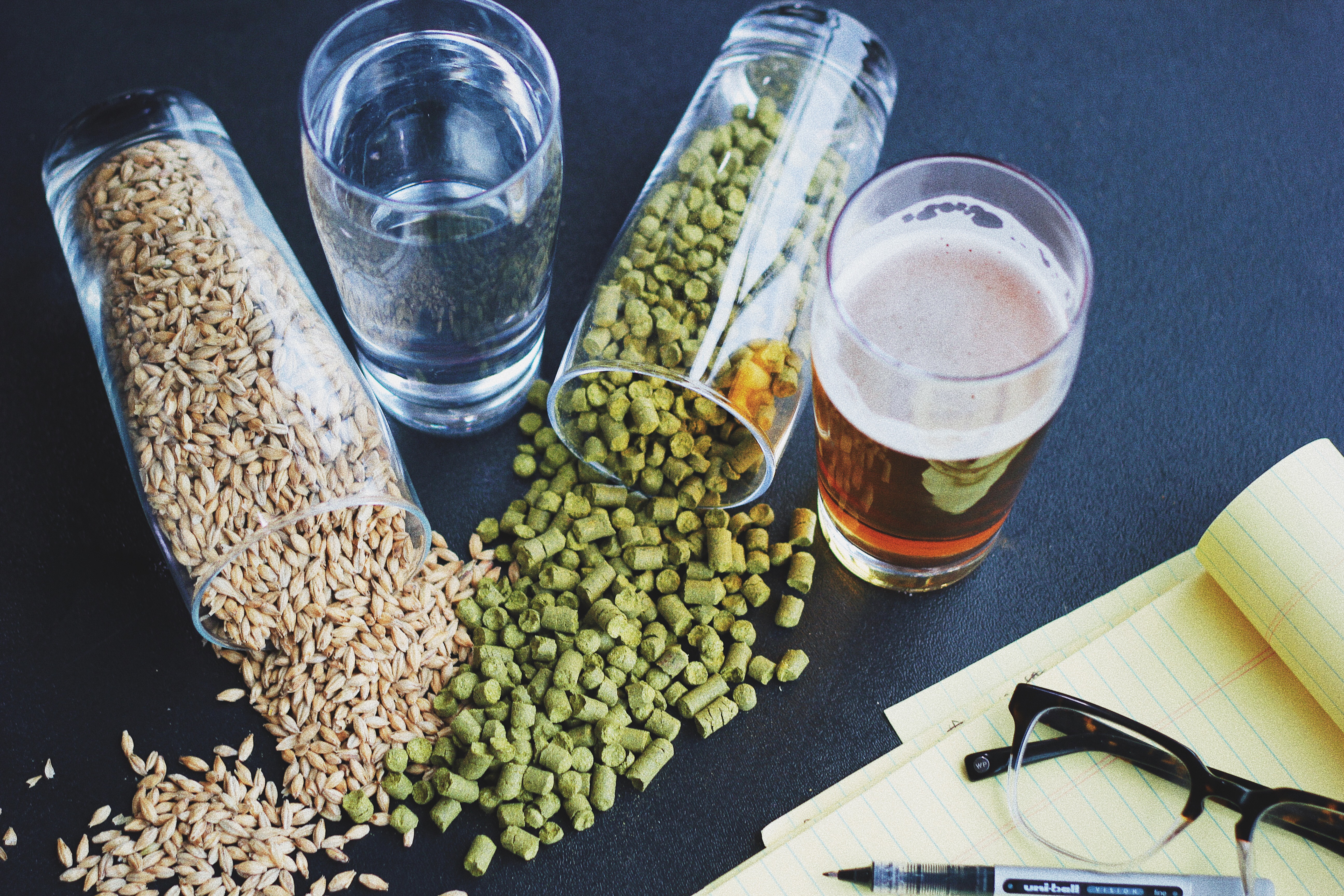 Study Hall: Science of Brewing