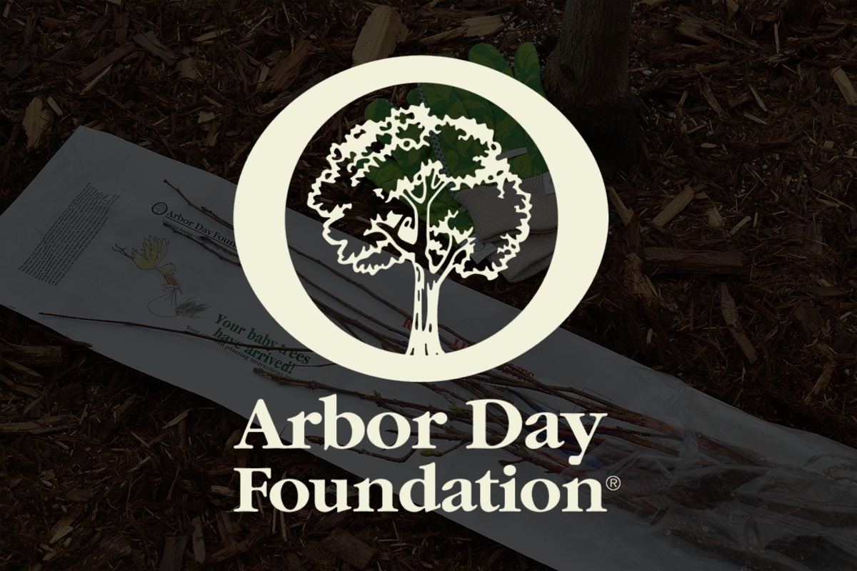 The Arbor Day Foundation