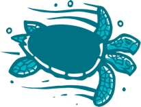 sea turtle