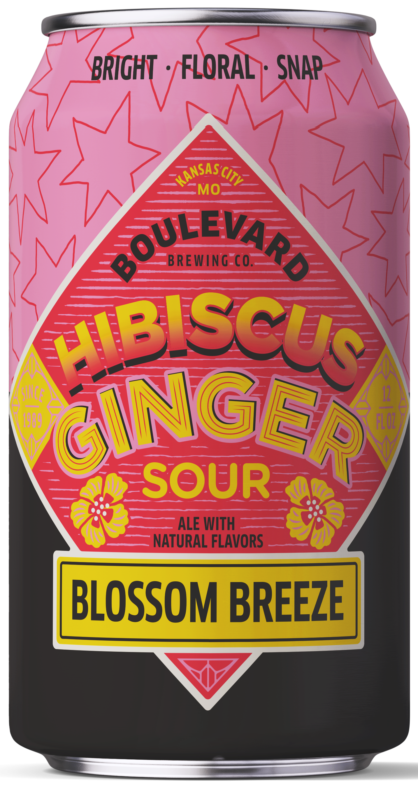 Hibiscus Ginger Sour