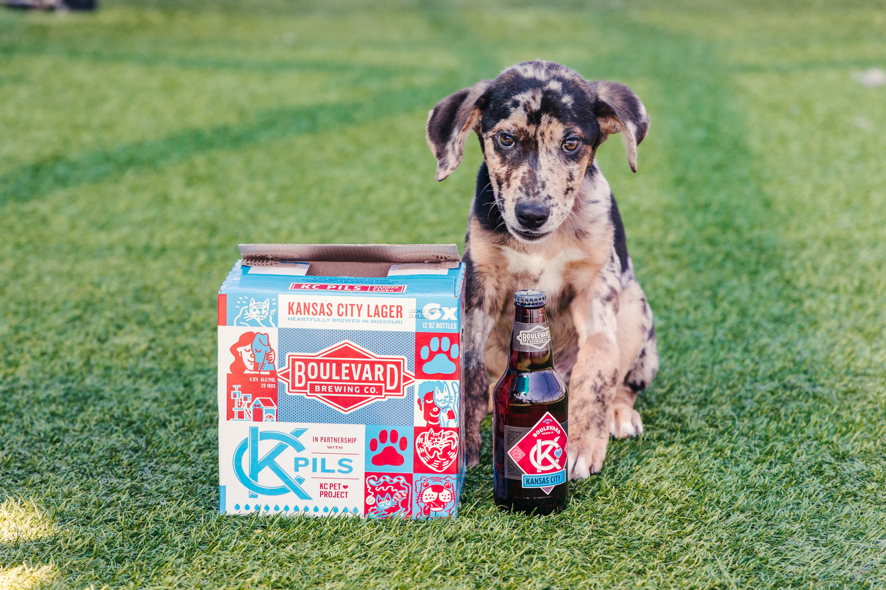 Boulevard's KC Pils to benefit KC Pet Project