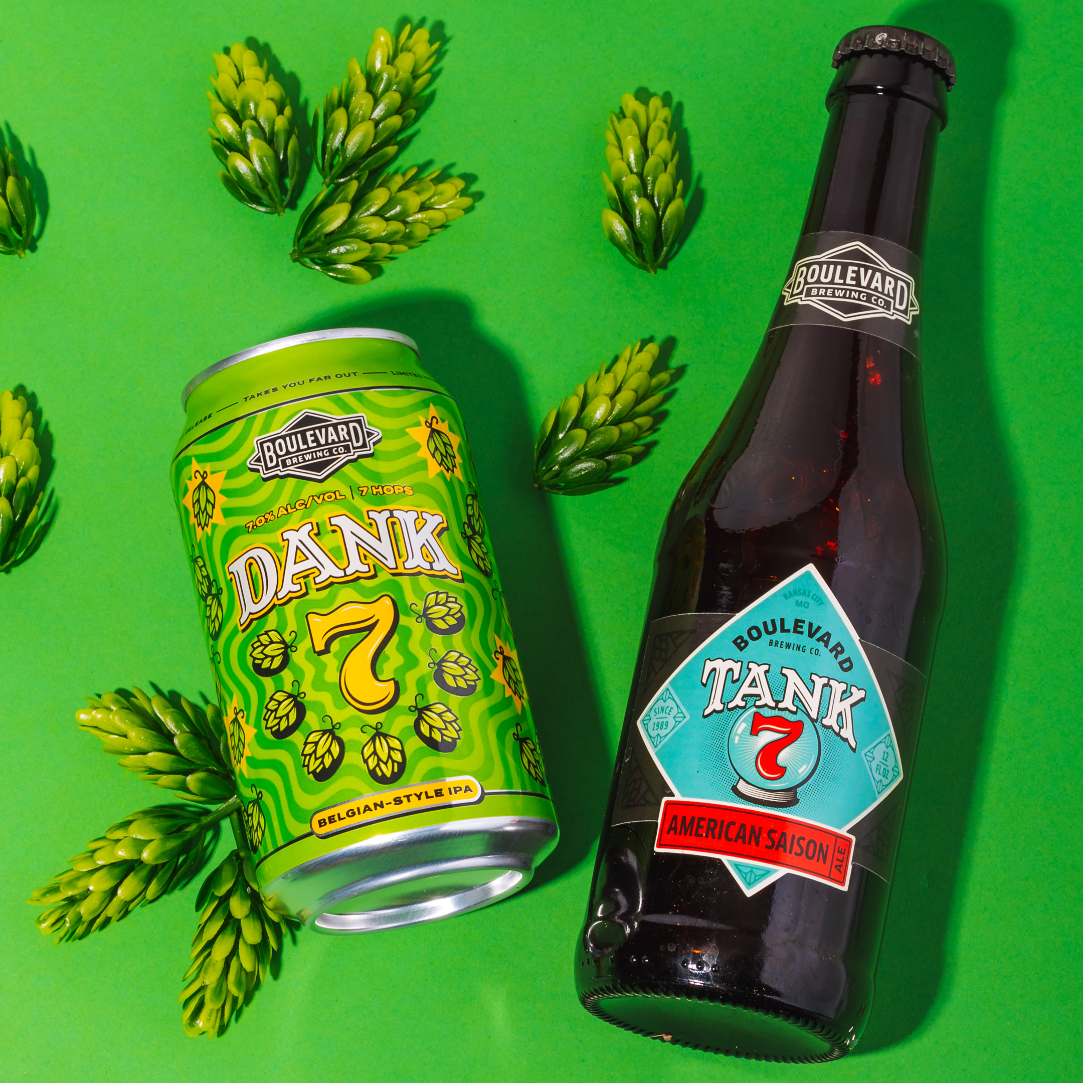 Dank 7 – Belgian-Style IPA