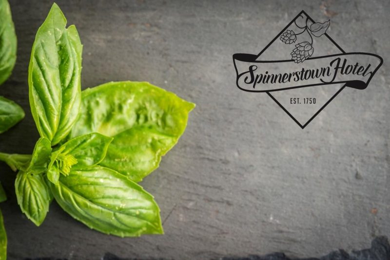 Fresh basil leaves on the left side of a gray slate background. The logo of Spinnerstown Hotel with an "Est. 1750" text is on the right side.