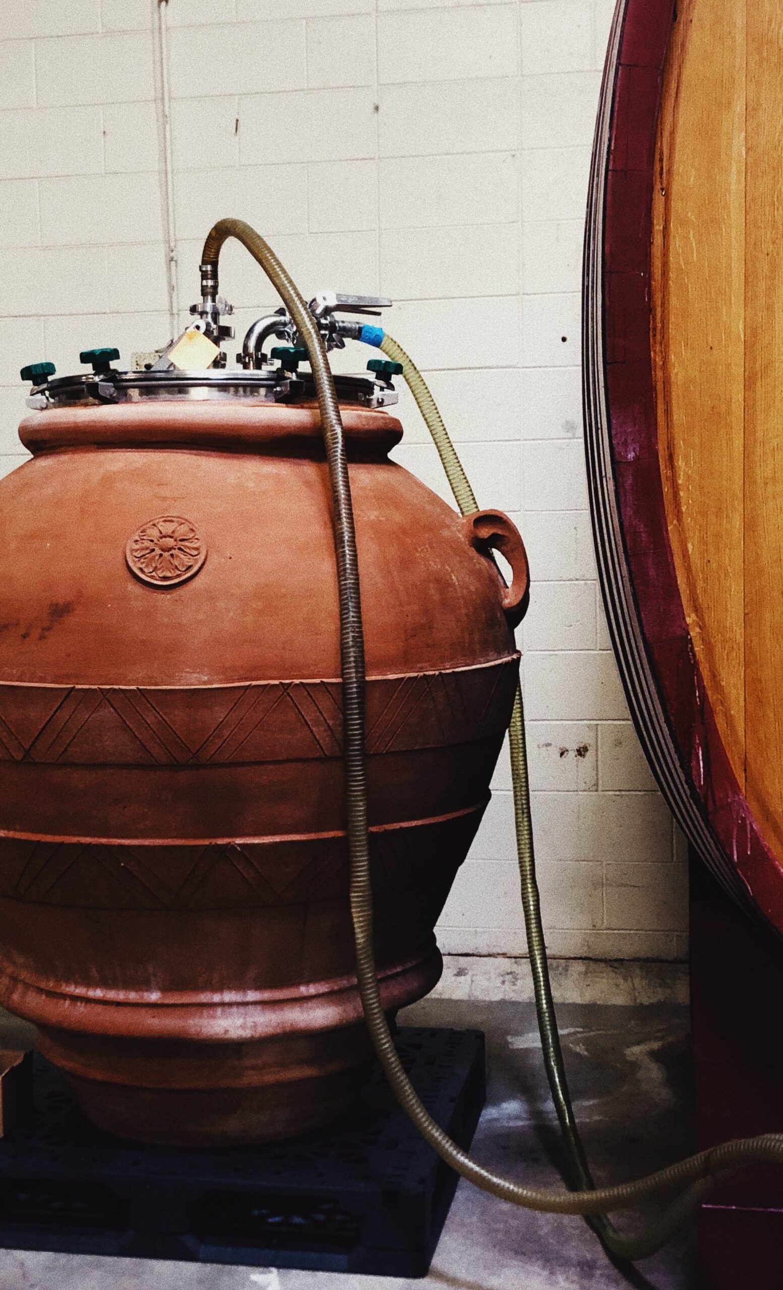 A large terracotta vessel is connected to a hose, situated in a winery setting. The vessel features decorative patterns and sits adjacent to a wooden wine barrel, all against a light-colored wall.