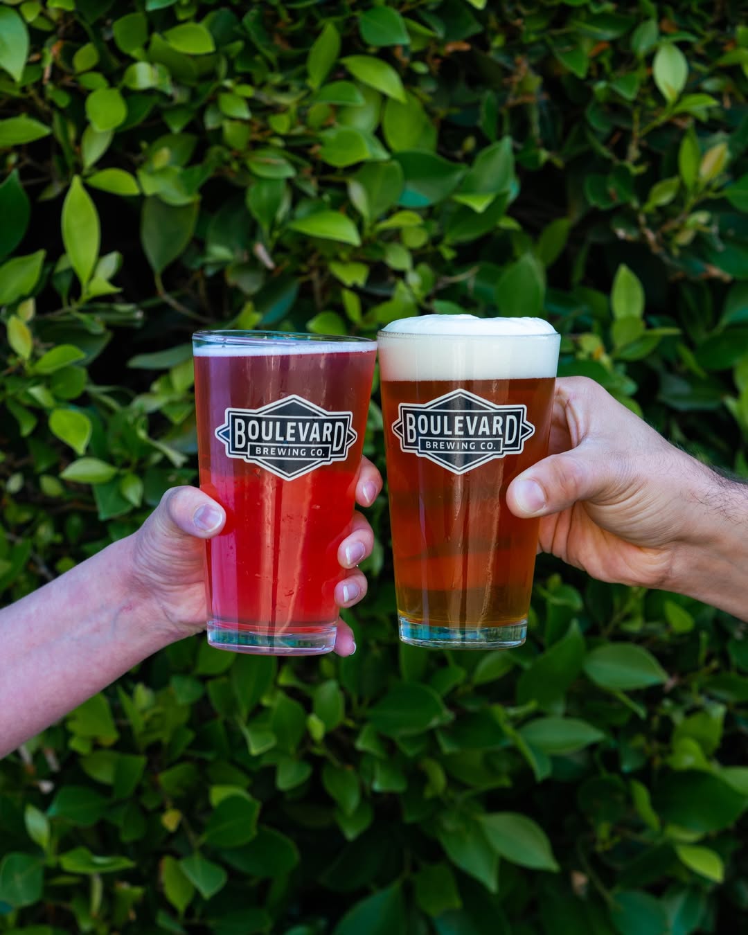 Two hands hold up Boulevard Brewing Co. pint glasses filled with different beers—one red, one golden with foam—against a leafy green background.
