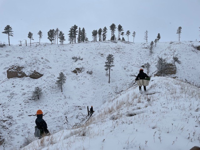 Three people wearing orange helmets and carrying gear walk along a snowy hillside with sparse trees, heading toward a snowy ridge under a cloudy sky.