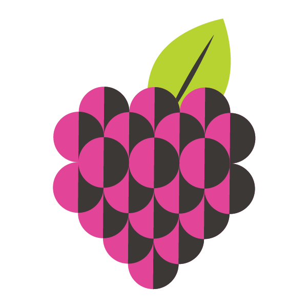 A stylized illustration of a raspberry made from overlapping pink and black semicircles, with a single green leaf on top, set against a light gray background—perfect for a refreshing THC Seltzer label.