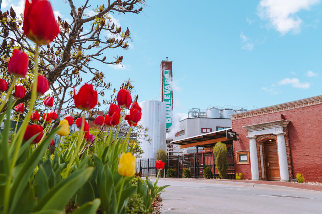 Bright red and yellow tulips bloom in the foreground near a tree. Behind them, the brewhouse one building with a tall "Boulevard" smokestack rises above a brick wall and wooden door under a blue sky.