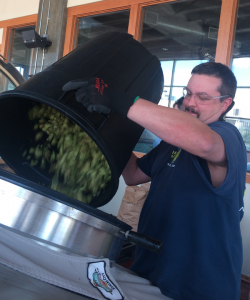 Brewer Cris adds wet Centennial hops at the end of the boil.