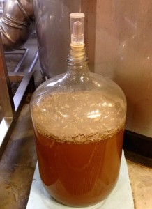 Our microbiologist maintains a culture of lactobacillus for sour wort production.